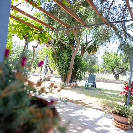 Rosetta モノーポリ