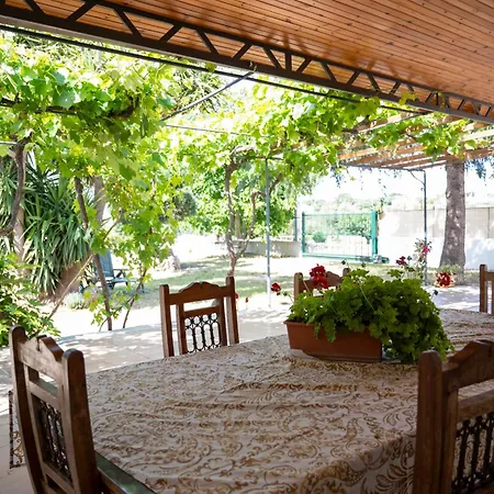 Rosetta モノーポリ