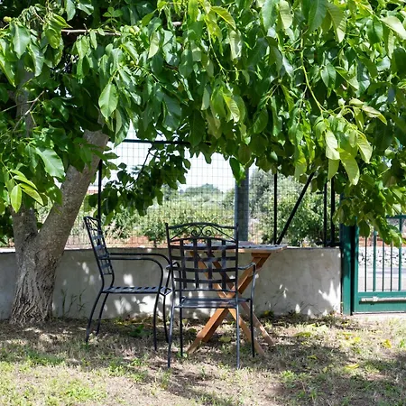 Rosetta ヴィラ モノーポリ